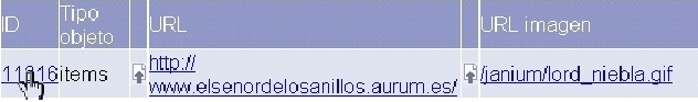 \resizebox*{0.7\columnwidth}{!}{\includegraphics{images/objetos_itemes/objetoitemselecid.eps}}